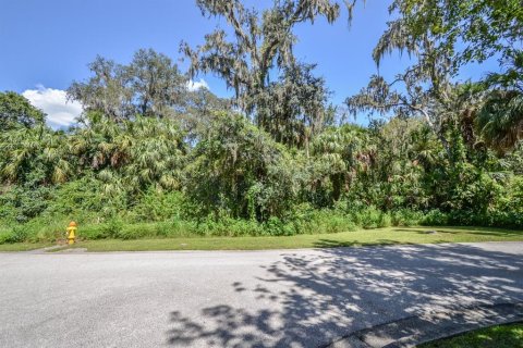 Land in Brandon, Florida № 715000 - photo 6