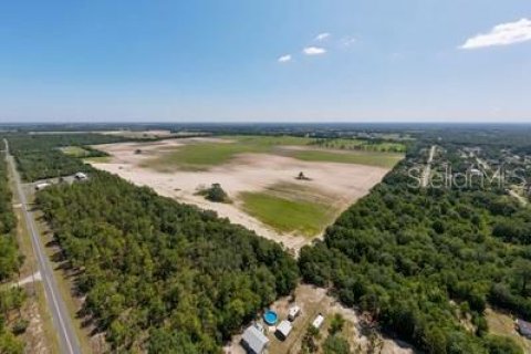 Land in Dunnellon, Florida № 1302766 - photo 2