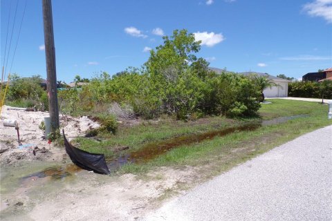 Land in Port Charlotte, Florida № 1254246 - photo 10