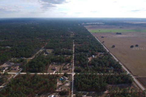 Land in Ocala, Florida № 1318716 - photo 2