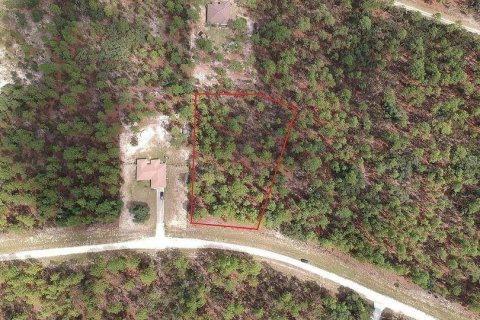 Terreno en venta en Ocala, Florida № 1318716 - foto 1