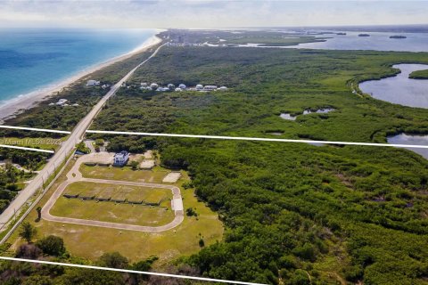 Villa ou maison à vendre à Hutchinson Island South, Floride: 4 chambres, 478.91 m2 № 666202 - photo 17