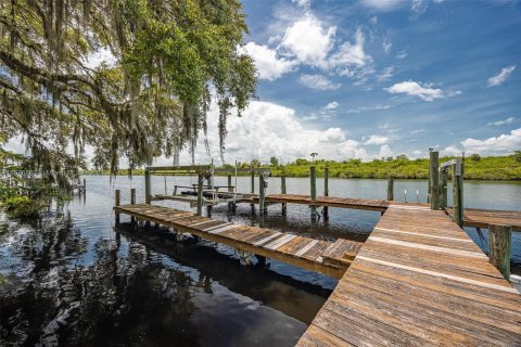 Villa ou maison à vendre à LaBelle, Floride: 2 chambres № 1401622 - photo 30