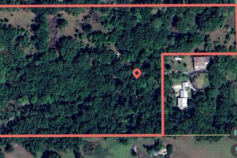 Land in Dade City, Florida № 1008456 - photo 1