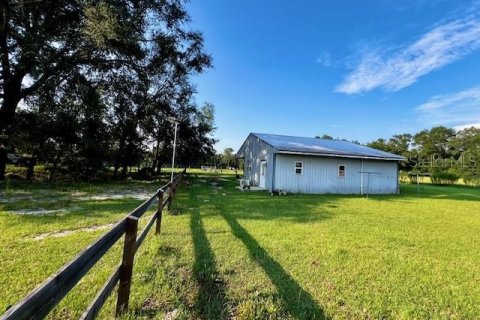 Land in Live Oak, Florida № 1334660 - photo 1