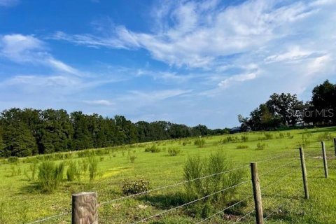 Land in Live Oak, Florida № 1334660 - photo 2