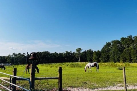 Terreno en venta en Live Oak, Florida № 1334660 - foto 14