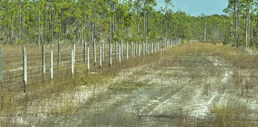 Terreno en Punta Gorda, Florida № 1326334