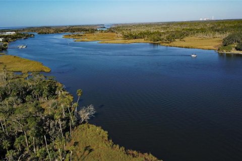 Купить земельный участок в Кристал-Ривер, Флорида № 1414572 - фото 3