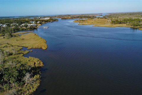 Купить земельный участок в Кристал-Ривер, Флорида № 1414572 - фото 4