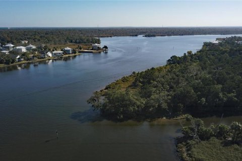 Купить земельный участок в Кристал-Ривер, Флорида № 1414572 - фото 5