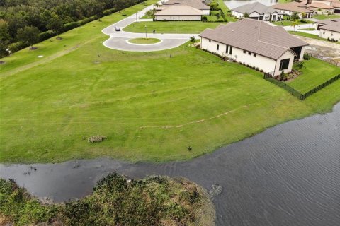 Land in Lakeland, Florida № 1400642 - photo 2