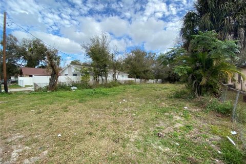 Land in Tampa, Florida № 426623 - photo 3