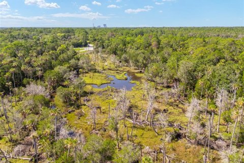 Land in Yankeetown, Florida № 1290091 - photo 24