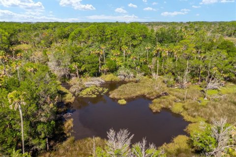 Terreno en venta en Yankeetown, Florida № 1290091 - foto 25