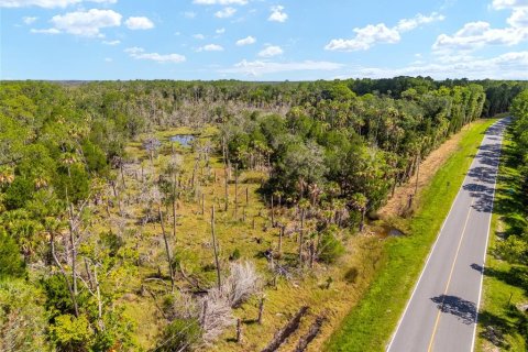 Land in Yankeetown, Florida № 1290091 - photo 17