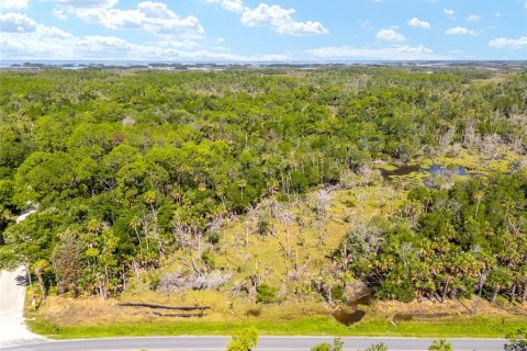 Land in Yankeetown, Florida № 1290091 - photo 22