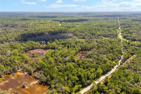 Terreno en venta en Yankeetown, Florida № 1290091 - foto 12