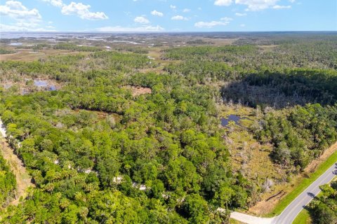 Land in Yankeetown, Florida № 1290091 - photo 14