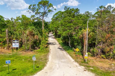 Land in Yankeetown, Florida № 1290091 - photo 19