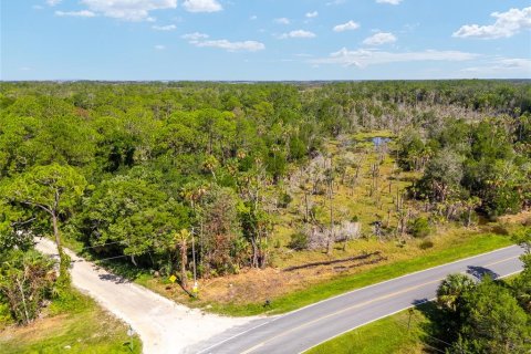 Land in Yankeetown, Florida № 1290091 - photo 16