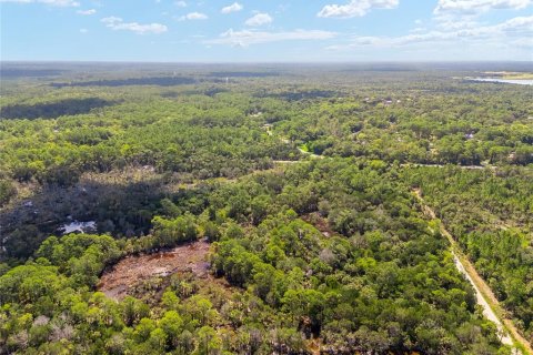 Terreno en venta en Yankeetown, Florida № 1290091 - foto 11