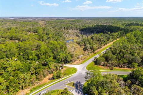 Land in Yankeetown, Florida № 1290091 - photo 15