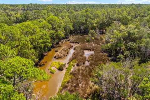 Land in Yankeetown, Florida № 1290091 - photo 28