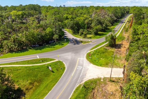 Land in Yankeetown, Florida № 1290091 - photo 18