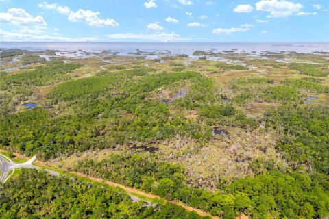 Land in Yankeetown, Florida № 1290091 - photo 5