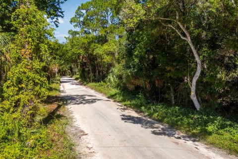 Terreno en venta en Yankeetown, Florida № 1290091 - foto 21