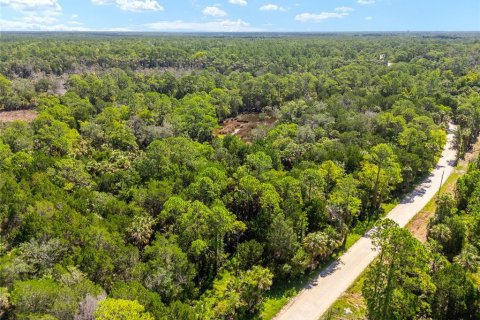 Terreno en venta en Yankeetown, Florida № 1290091 - foto 27