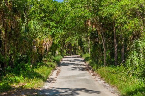 Terreno en venta en Yankeetown, Florida № 1290091 - foto 20