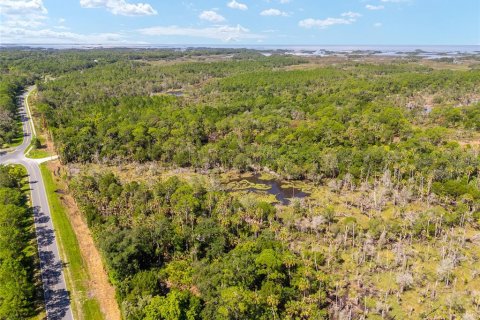 Land in Yankeetown, Florida № 1290091 - photo 23