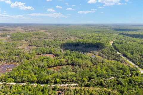 Land in Yankeetown, Florida № 1290091 - photo 13