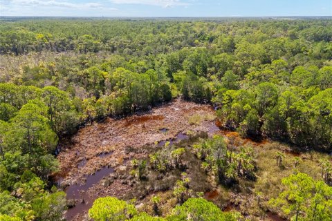 Terreno en venta en Yankeetown, Florida № 1290091 - foto 26