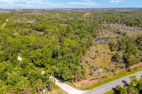 Land in Yankeetown, Florida № 1290091 - photo 30