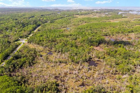 Land in Yankeetown, Florida № 1290091 - photo 6