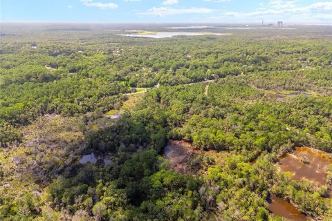 Land in Yankeetown, Florida № 1290091 - photo 10