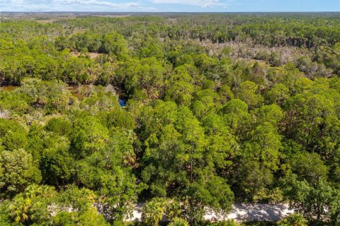 Land in Yankeetown, Florida № 1290091 - photo 29