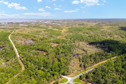 Land in Yankeetown, Florida № 1290091 - photo 3