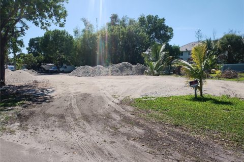 Land in Oakland Park, Florida № 923885 - photo 2