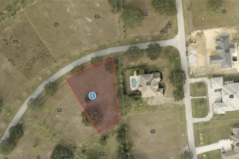 Terreno en venta en Groveland, Florida № 1308933 - foto 2