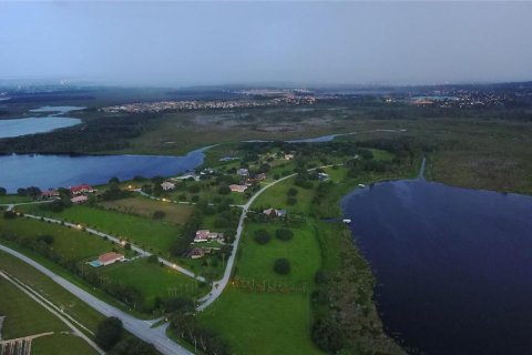 Terrain à vendre à Groveland, Floride № 1308933 - photo 5