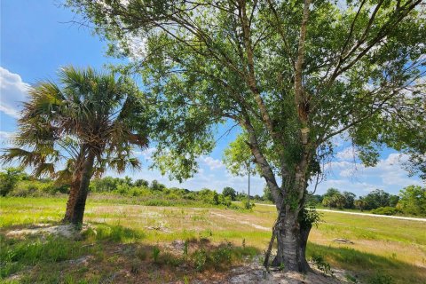 Land in Okeechobee, Florida № 1116013 - photo 8