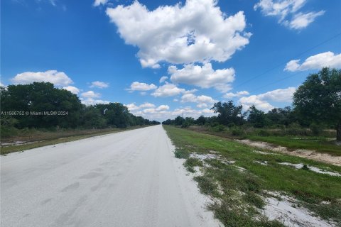 Land in Okeechobee, Florida № 1116013 - photo 2