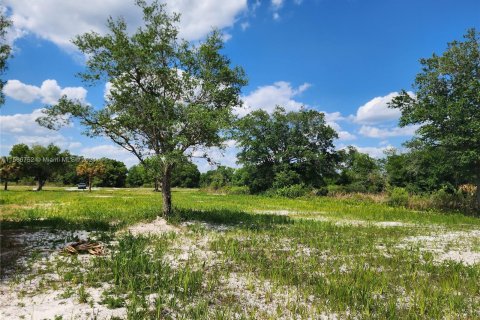 Land in Okeechobee, Florida № 1116013 - photo 21