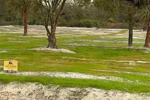 Land in Okeechobee, Florida № 1116013 - photo 1