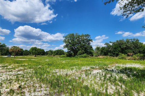 Land in Okeechobee, Florida № 1116013 - photo 13