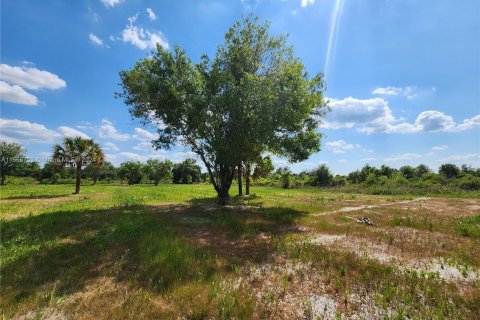 Land in Okeechobee, Florida № 1116013 - photo 5